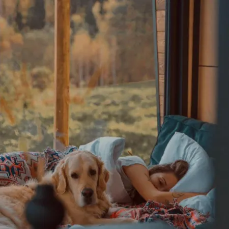 בקתה Oto.domki *