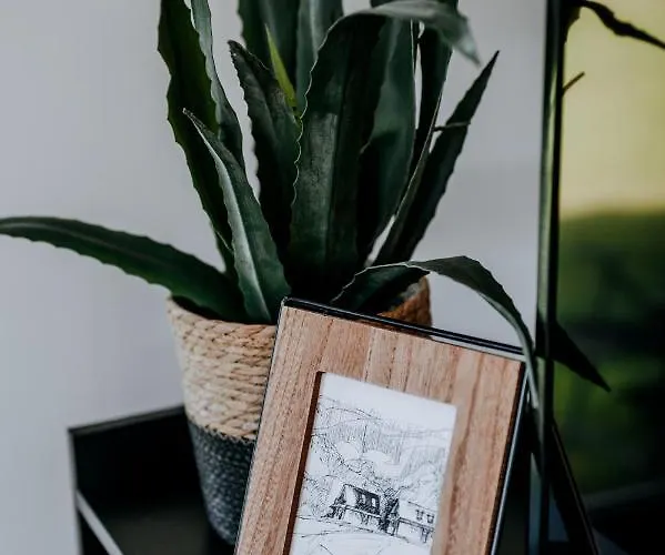 Domek alpejski Oto.domki Rokiciny Podhalanskie