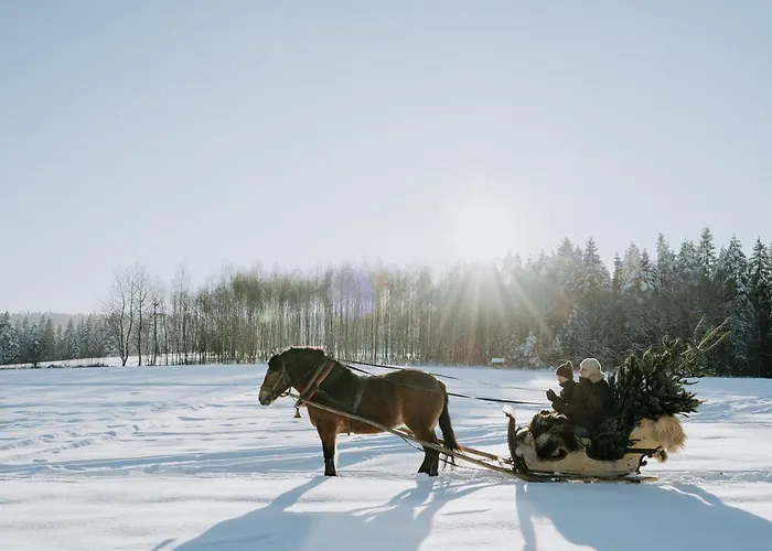 Domek alpejski Oto.domki