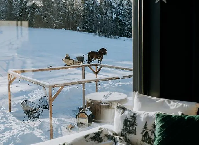 Domek alpejski Oto.domki Rokiciny Podhalanskie