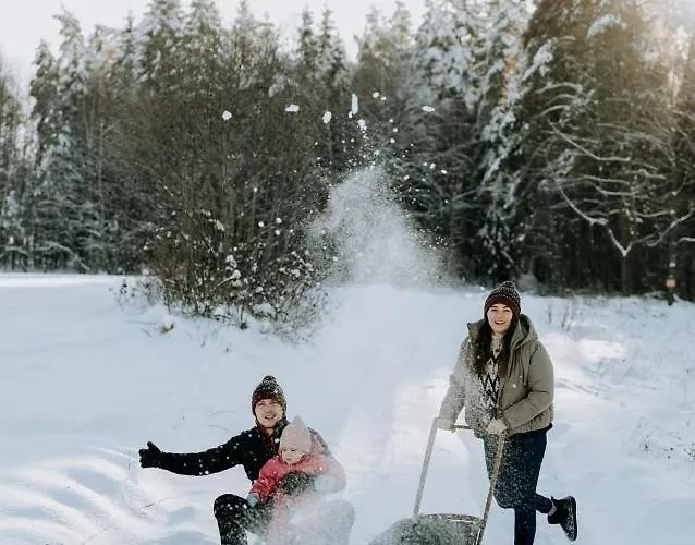 Oto.domki Domek alpejski