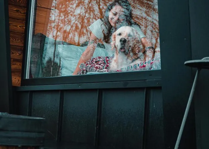 Domek alpejski Oto.domki