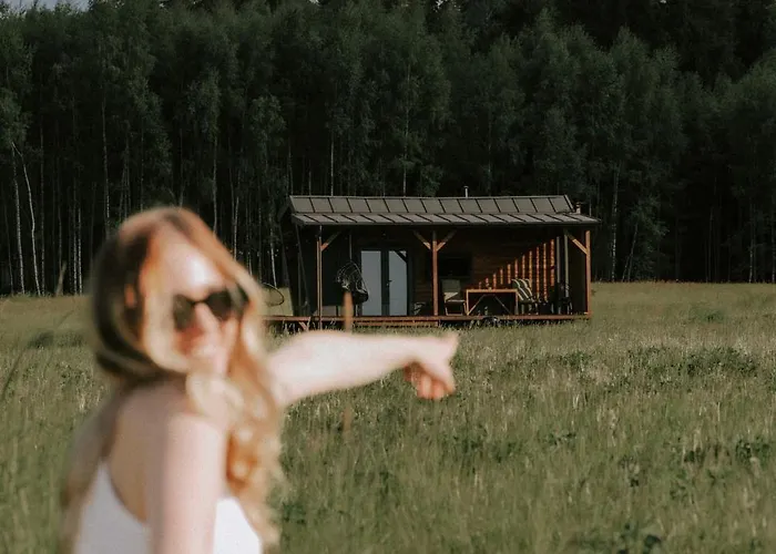 Oto.domki Domek alpejski *